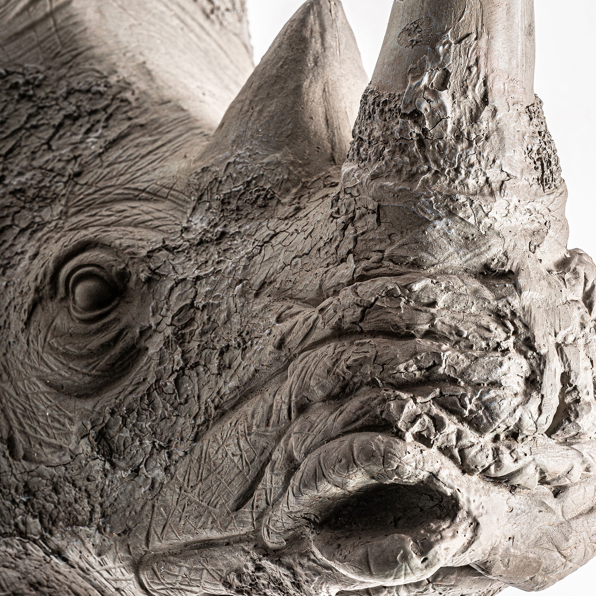 Бюст Rhinoceros Vical