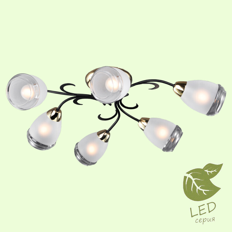Накладная люстра Lussole LGO GRLSP-9952