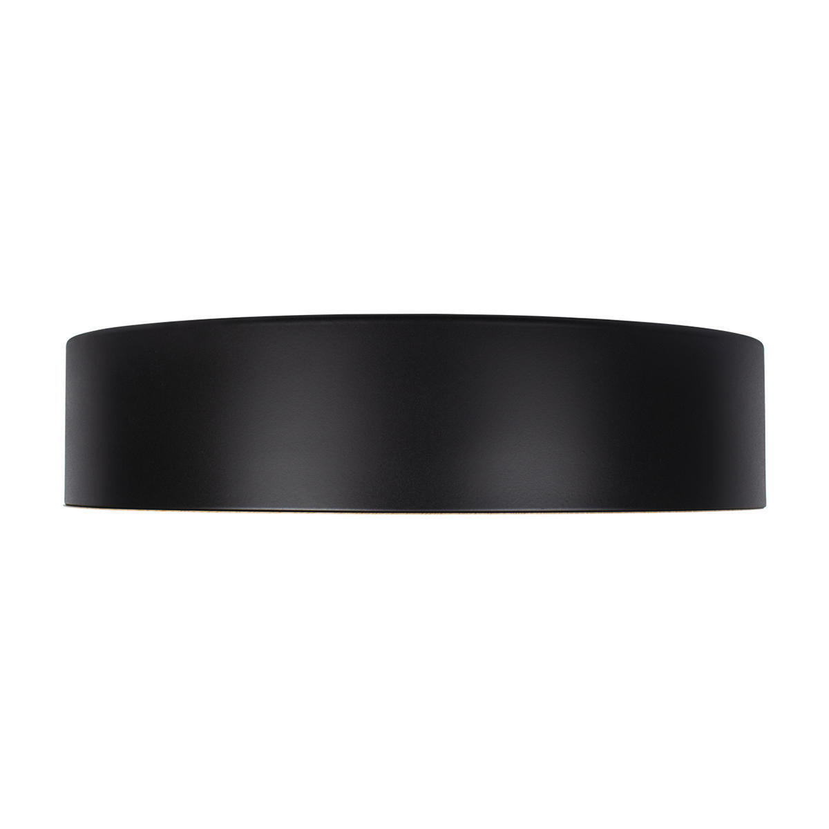 Потолочный светильник LOFT IT Coin 10202 Black