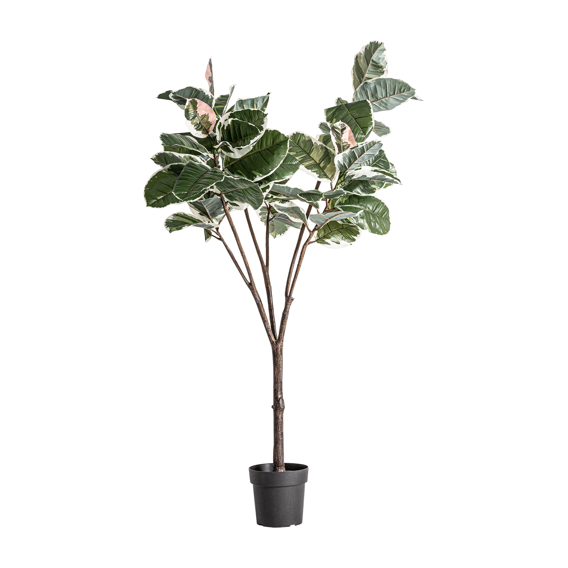 Искусственное растение ROBLE BLANCO Vical