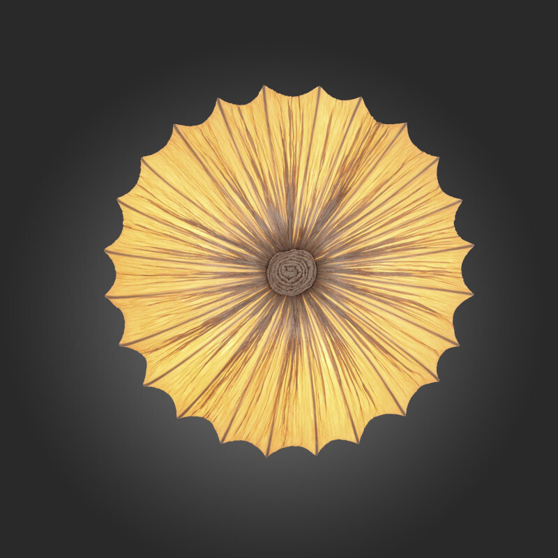 Накладной светильник ST Luce SL351.072.05