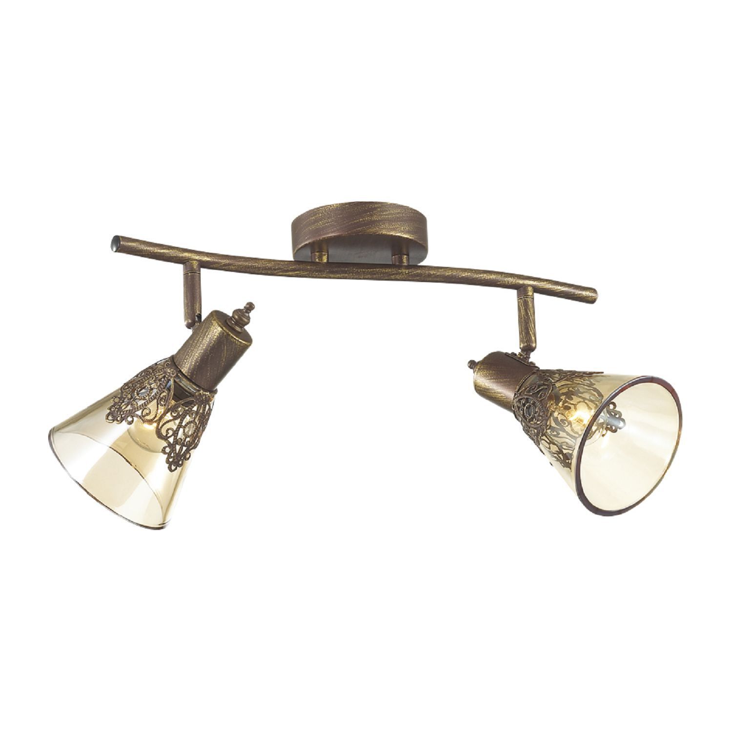 Потолочный светильник Favourite 1795-2U