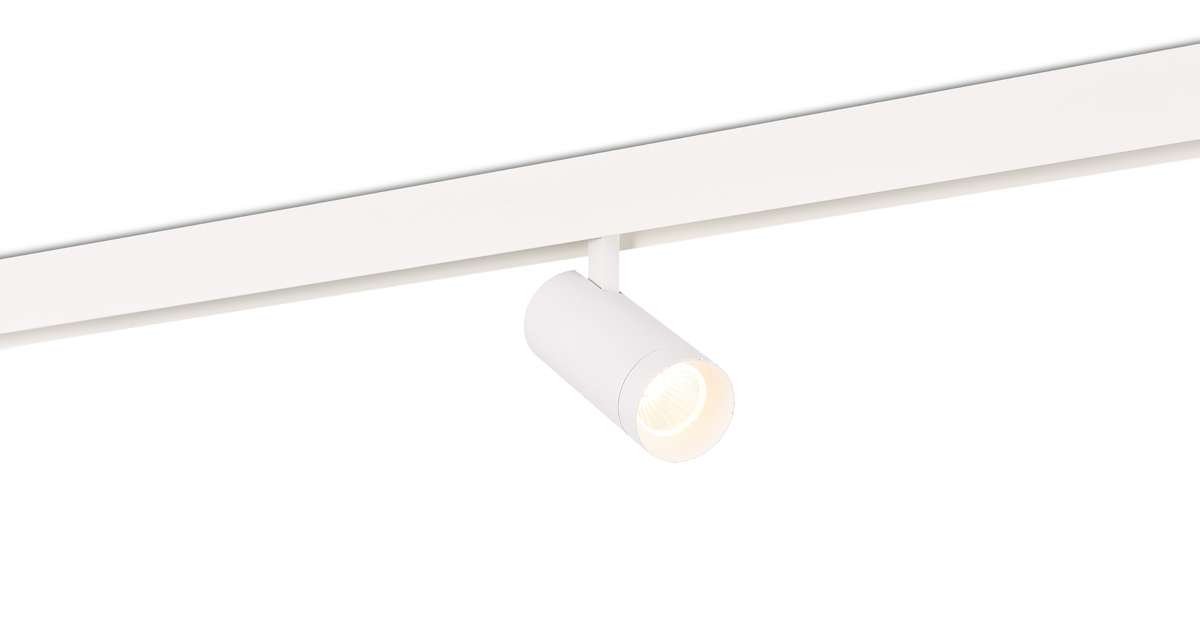 Светодиодный светильник Donolux DL20295NW20W