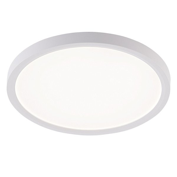Накладной светильник Natali Kovaltseva LED LAMPS 81113/2C