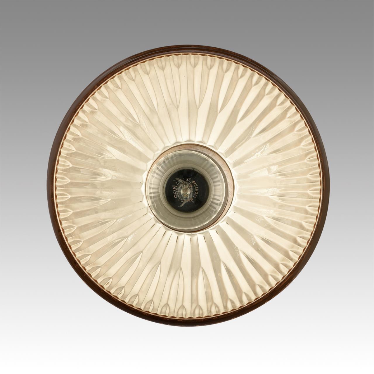 Светильник подвесной Lumion 8054/1A