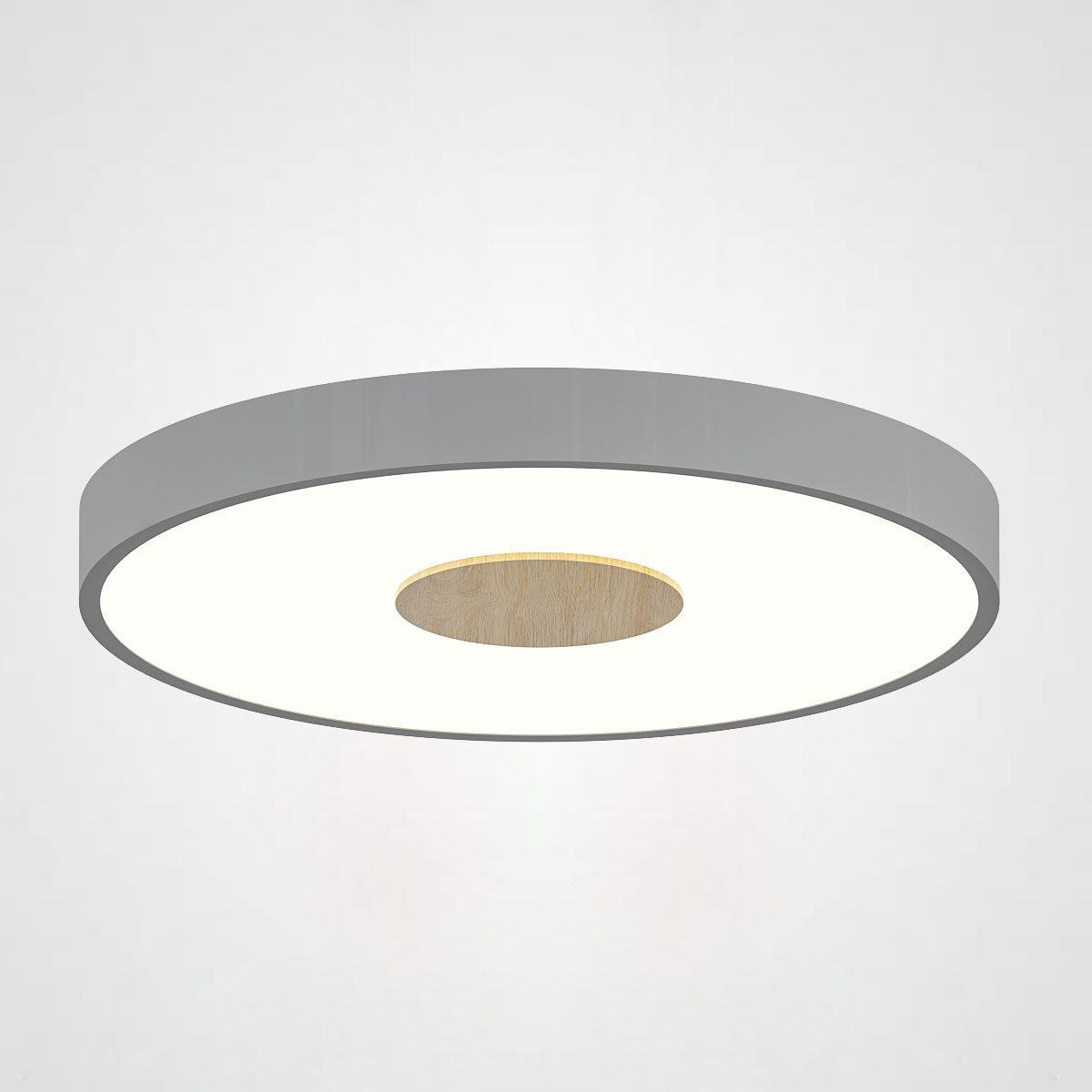 Потолочный светильник CENTRUM D30 Grey by ImperiumLoft