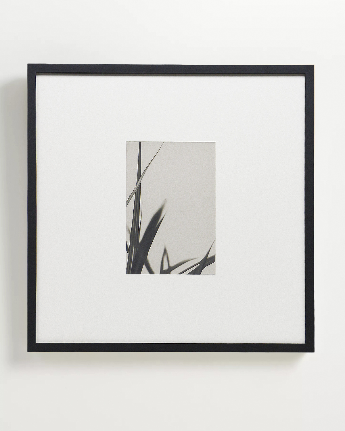 Интерьерный постер Floral - II Louvre Home DPP230924VHS