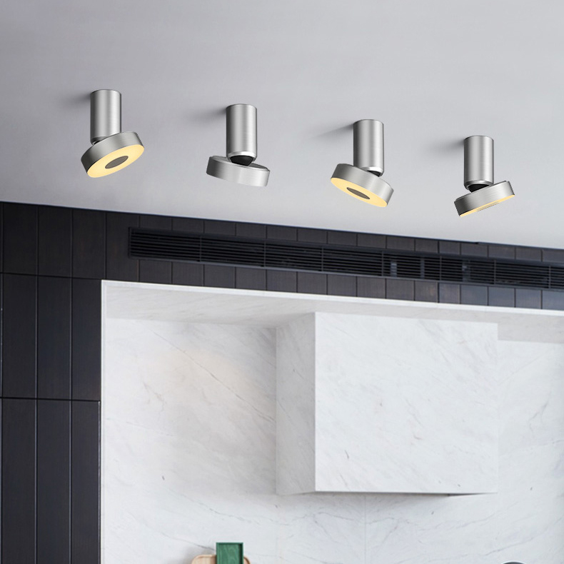 Потолочный точечный светильник STIR Silver by ImperiumLoft