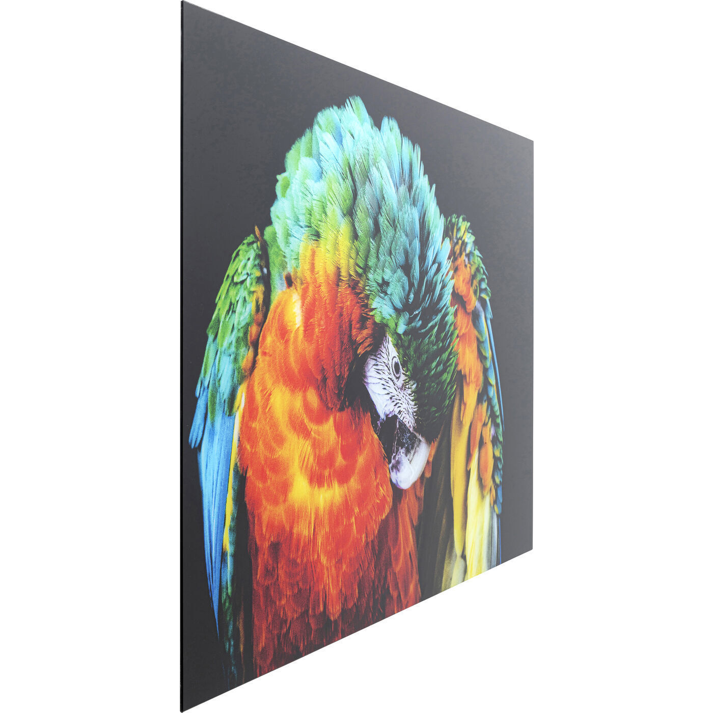 Картина Parrot 53089 Kare