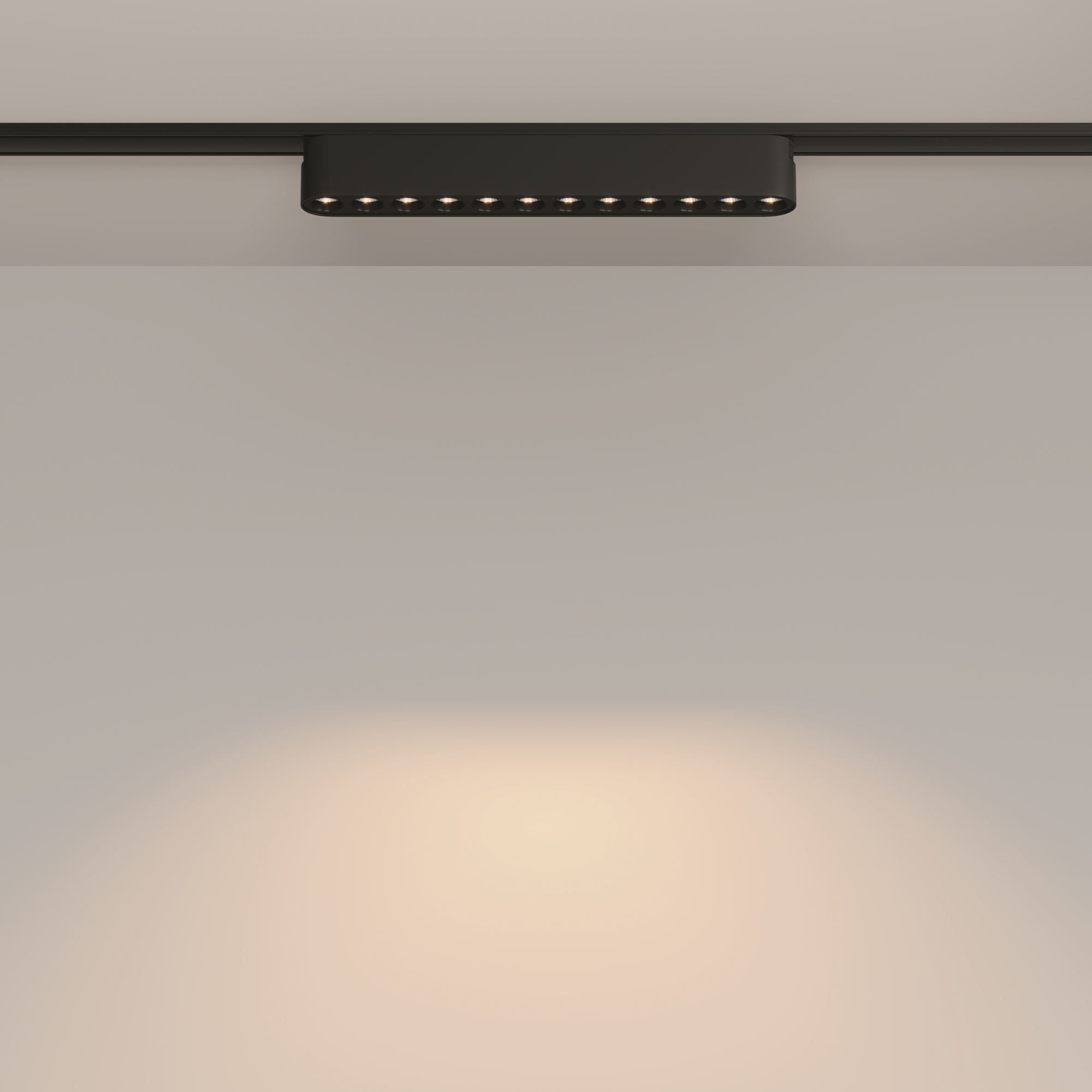 Трековый светильник Technical TR082-1-12W3K-M-B