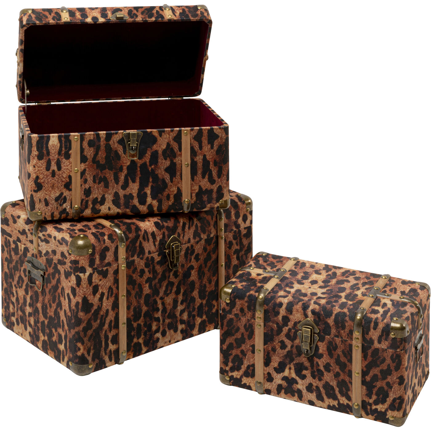 Шкатулка Wild Animal Leo (3/Set) KARE 71236