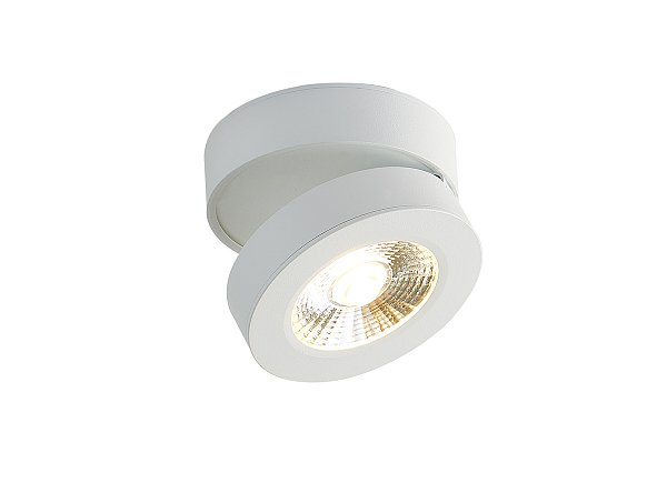 Накладной светодиодный светильник Donolux DL18962R12W1W