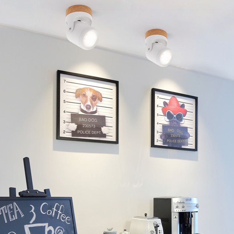 Светодиодный точечный светильник PAX by ImperiumLoft