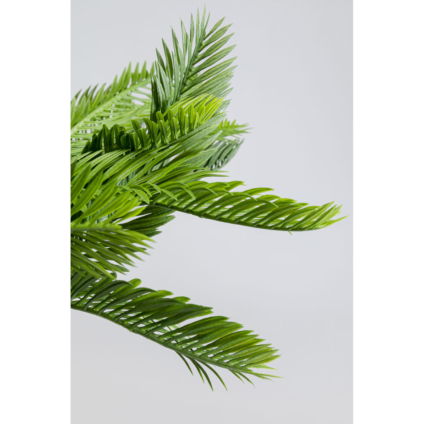 Растение декоративное Cycas 70 см KARE 55918
