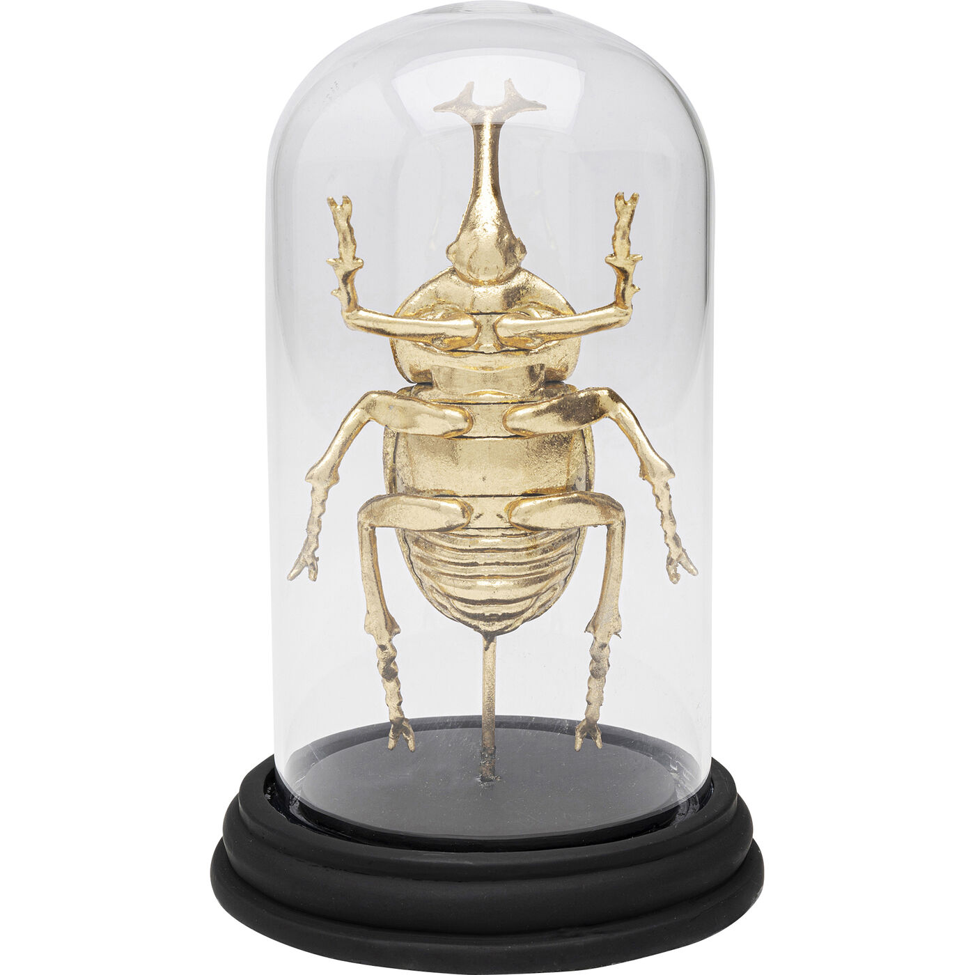 Объект декоративный Bell Jar Stag Beetle 20cm KARE 57719