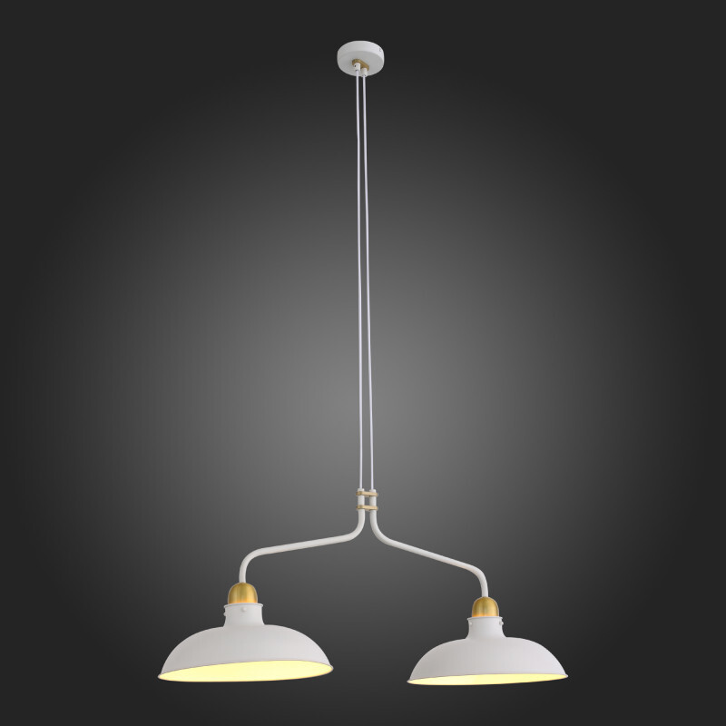 Подвесная люстра ST Luce SL323.503.02