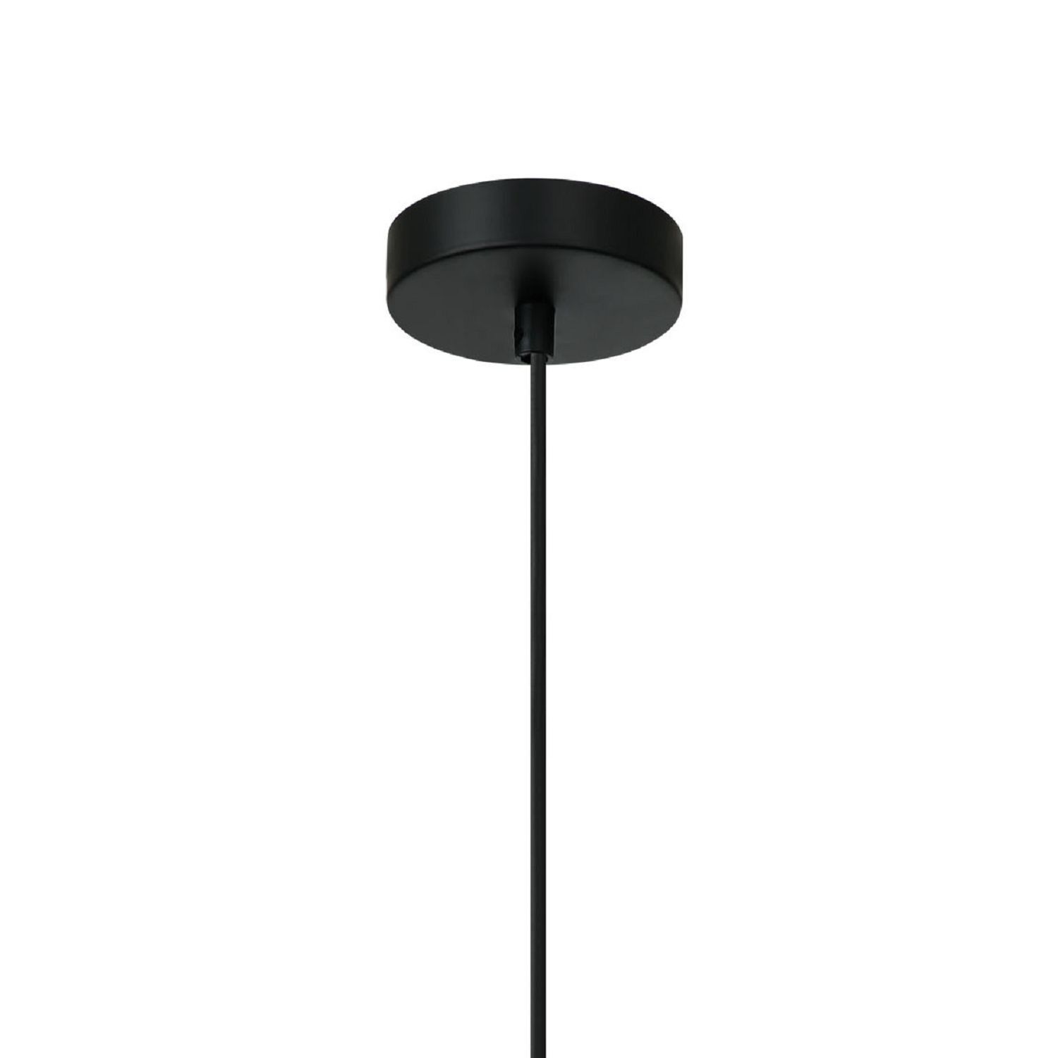 Подвесной светильник F-Promo 2569-1P