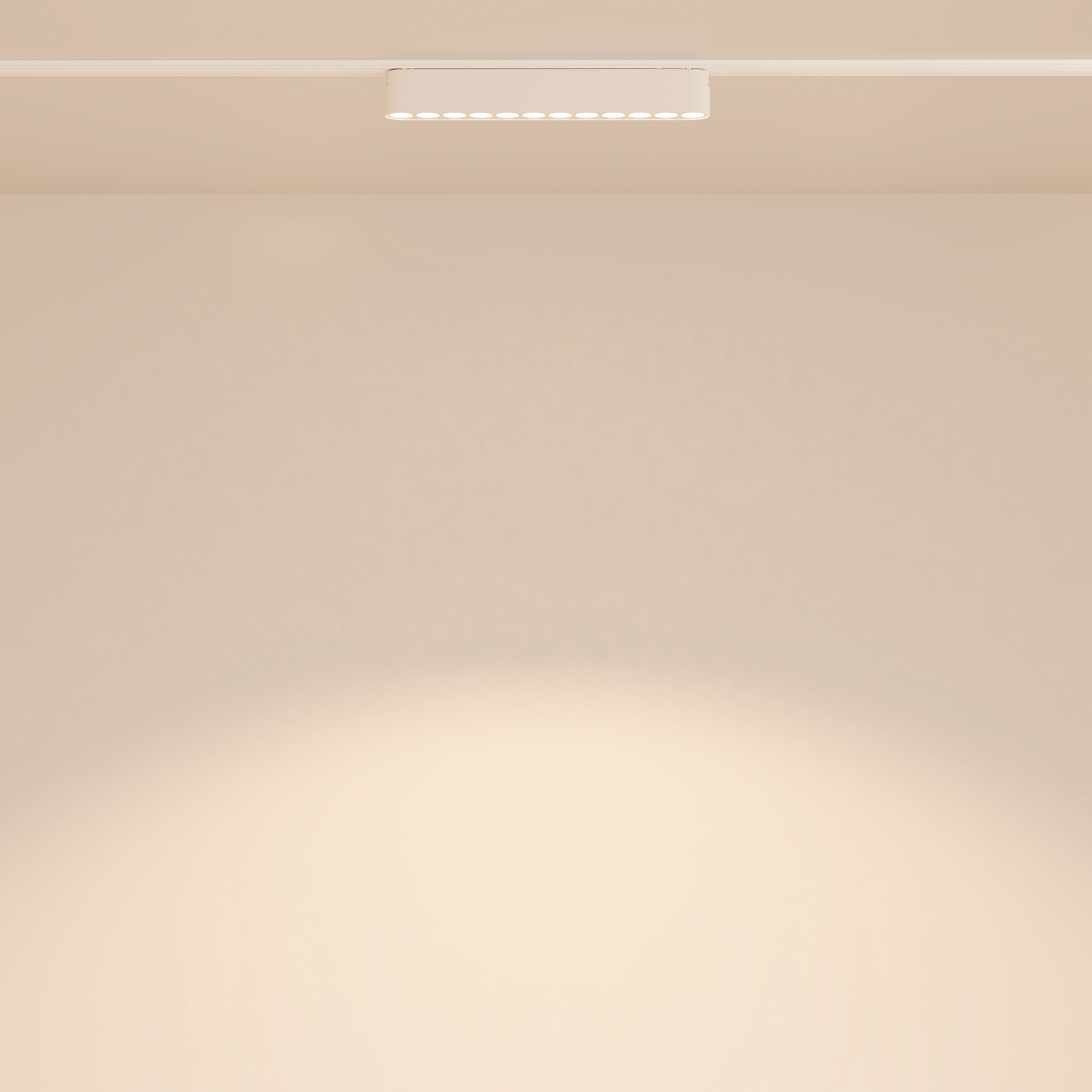 Трековый светильник Technical TR082-1-12W3K-M-W