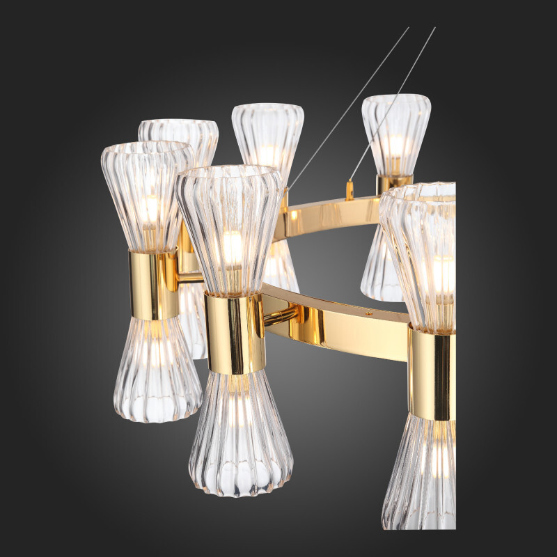 Подвесная люстра ST Luce SLD002.203.24