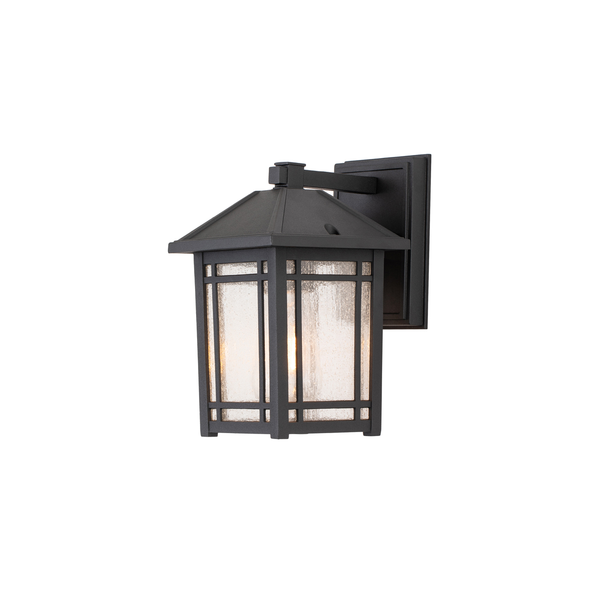 Настенный фонарь Quoizel QZ-CEDAR-POINT-S-BK