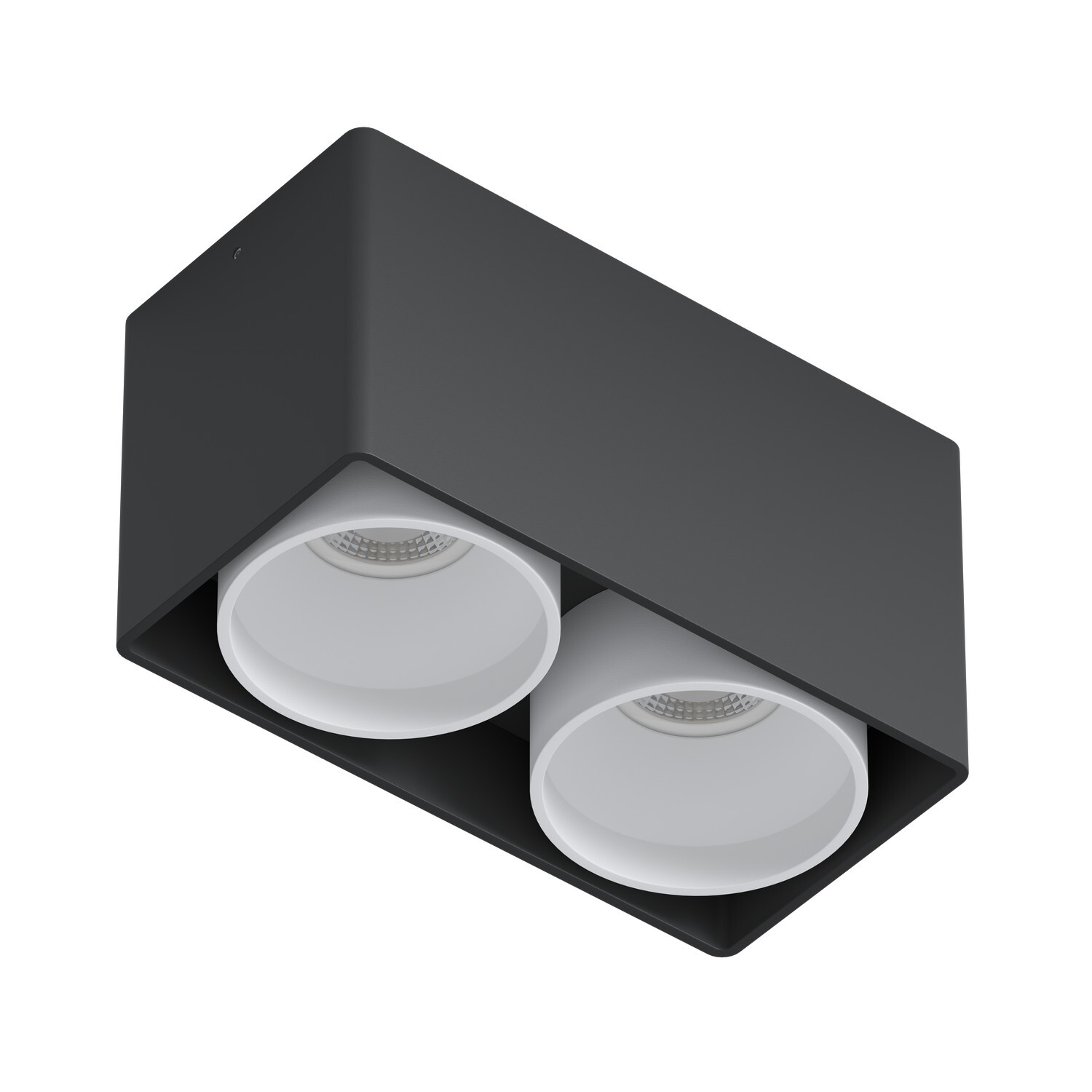 Накладной светильникпод сменную лампу Ledron KEA 2 ED GU10 Black-White