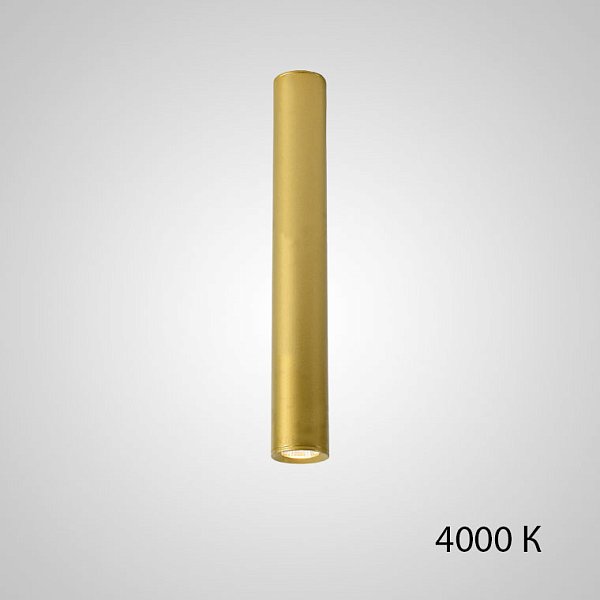 Точечный светильник PAN H50 Gold 4000 К by ImperiumLoft