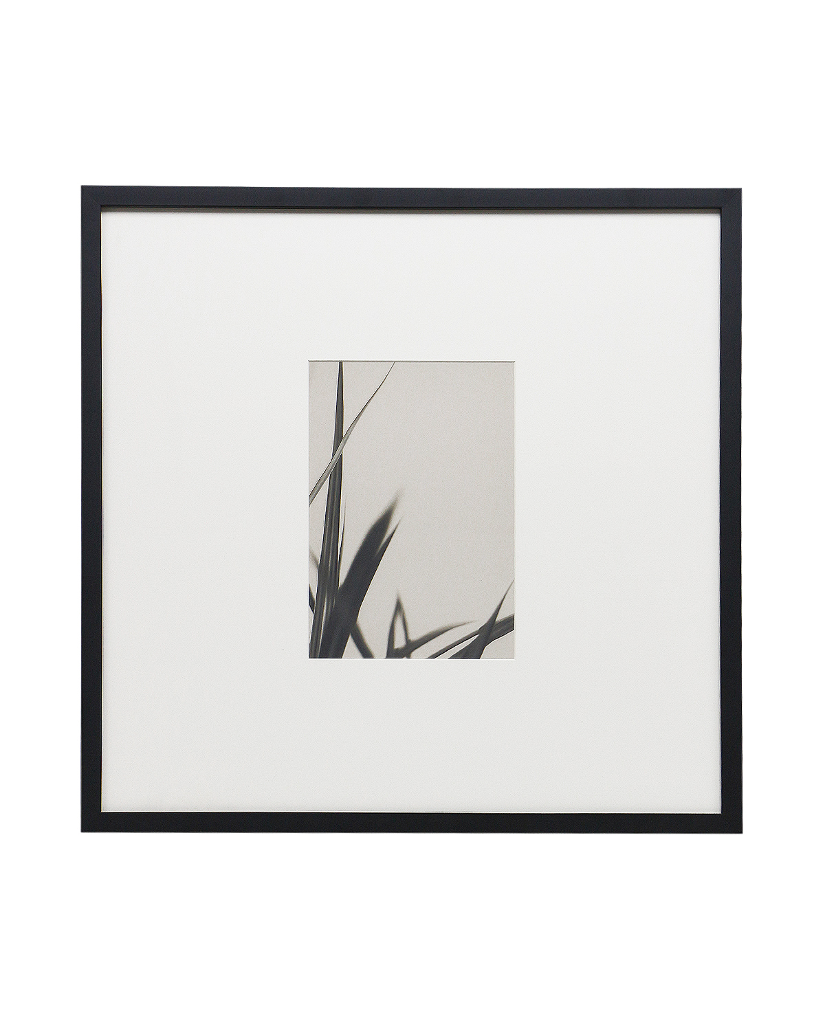 Интерьерный постер Floral - II Louvre Home DPP230924VHS