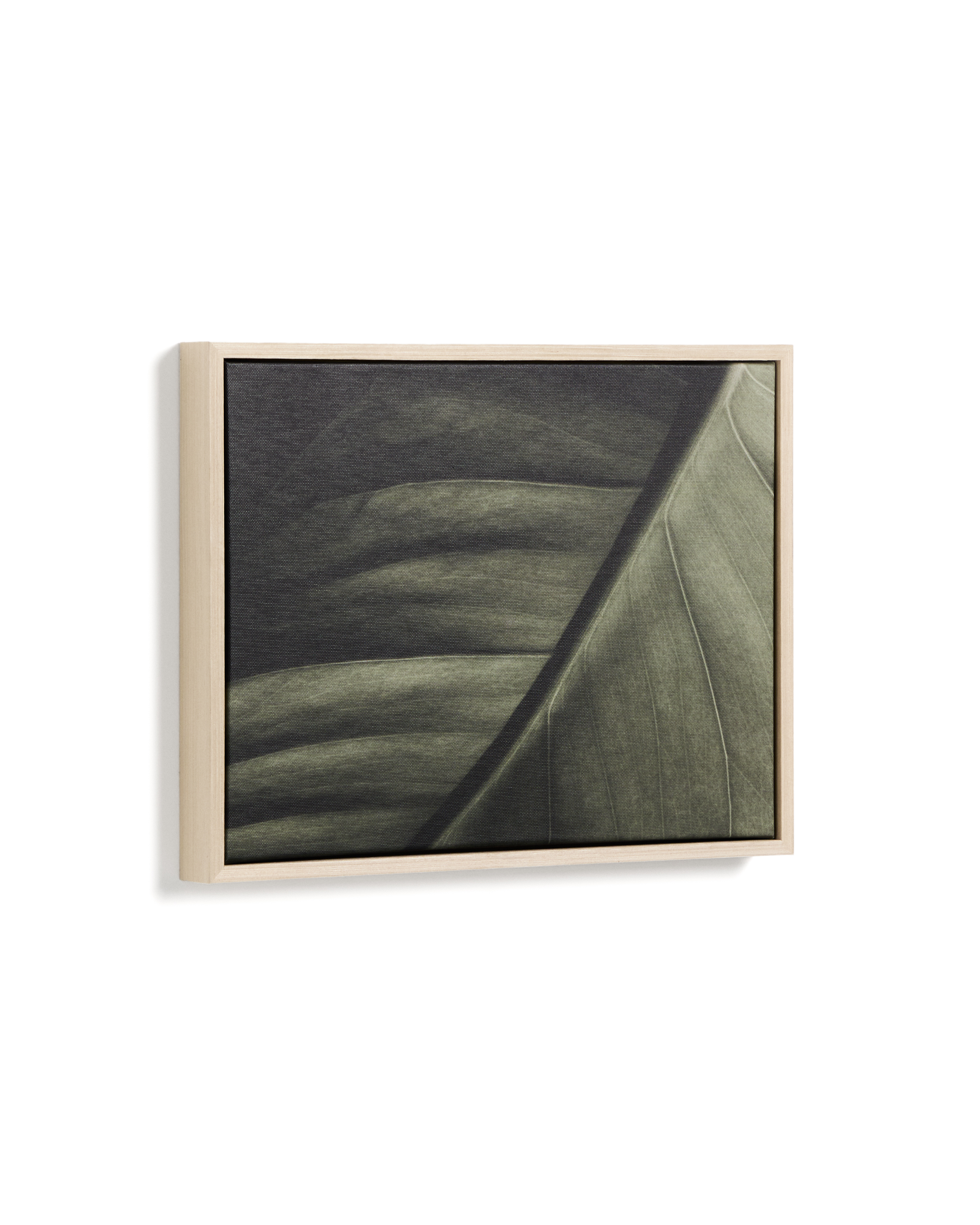Фотография листа Foliae размер 32,5 x 42,5 см La Forma 481677