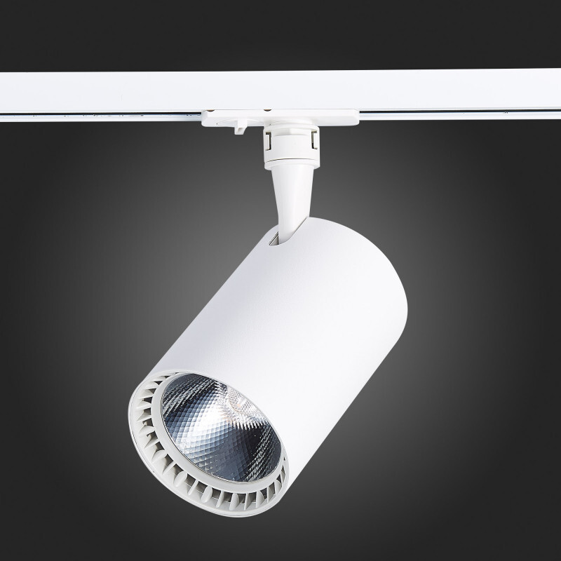 Светильник на шине ST Luce ST351.546.30.36