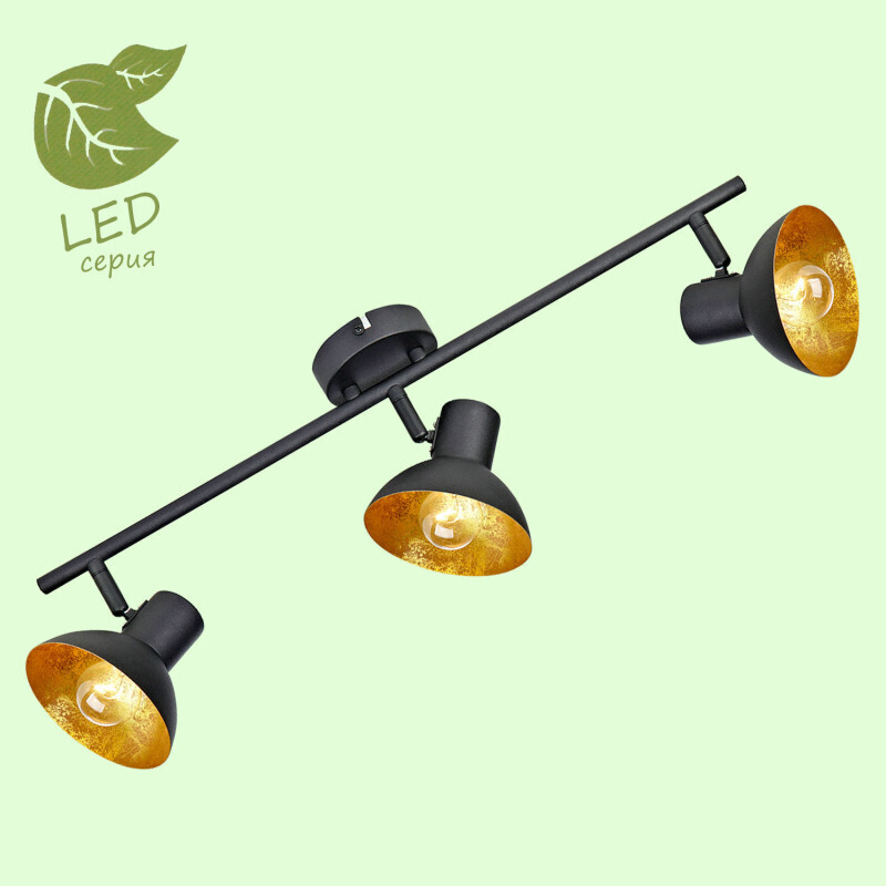 Спот Lussole LOFT GRLSP-9975