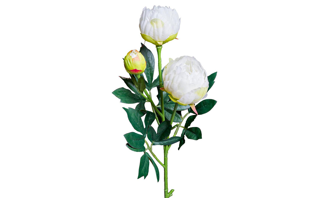 Пион кремовый Garda Decor 8J-15GS0010