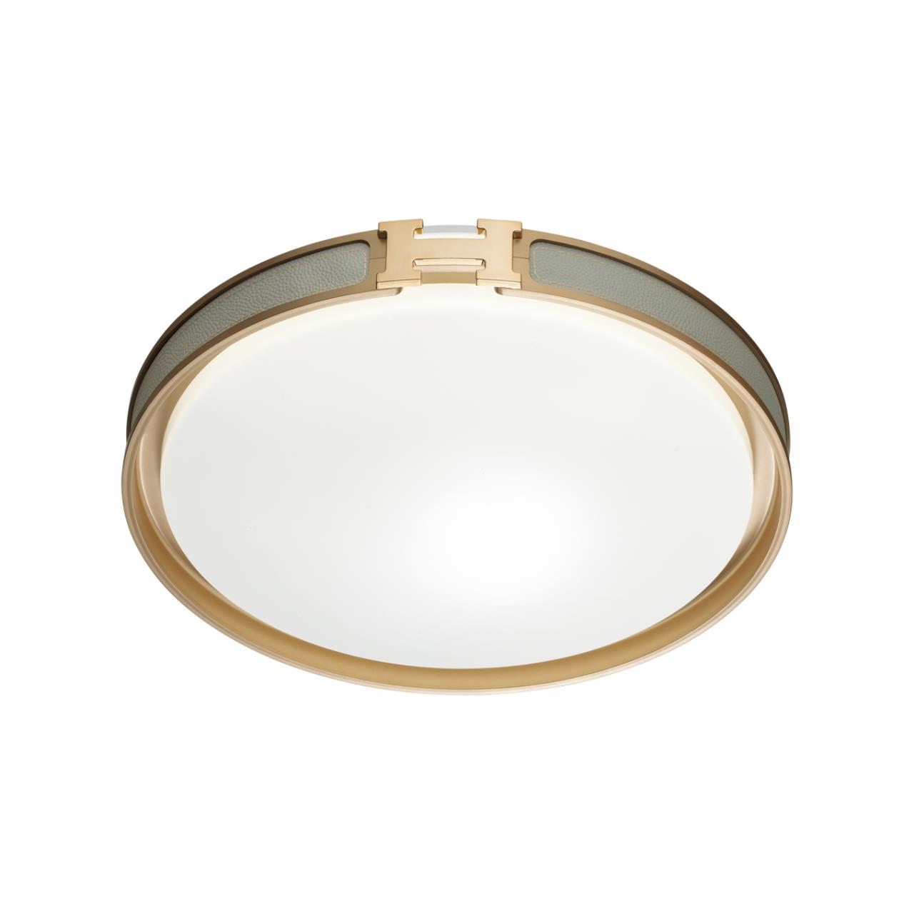 Настенно-потолочный светильник Sonex 7654/EL