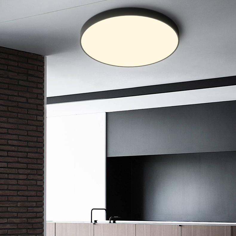 Потолочный светильник DISC BW D30 Black by ImperiumLoft