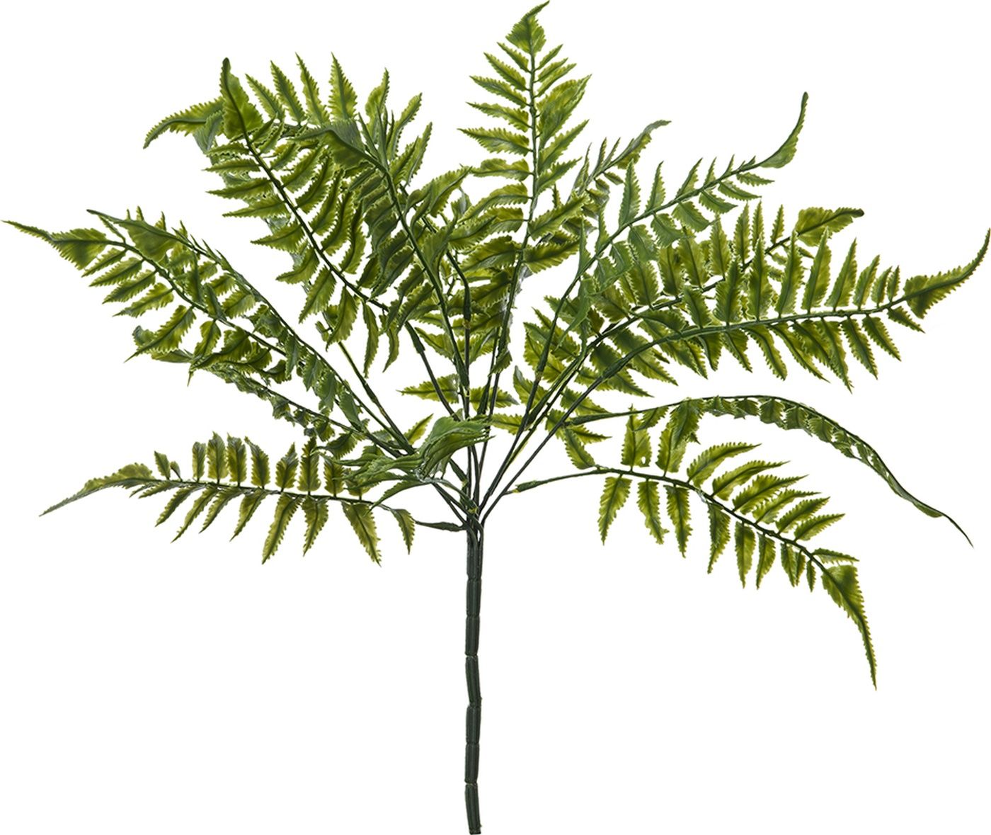 Растение декоративное Папоротник Glasar F8151