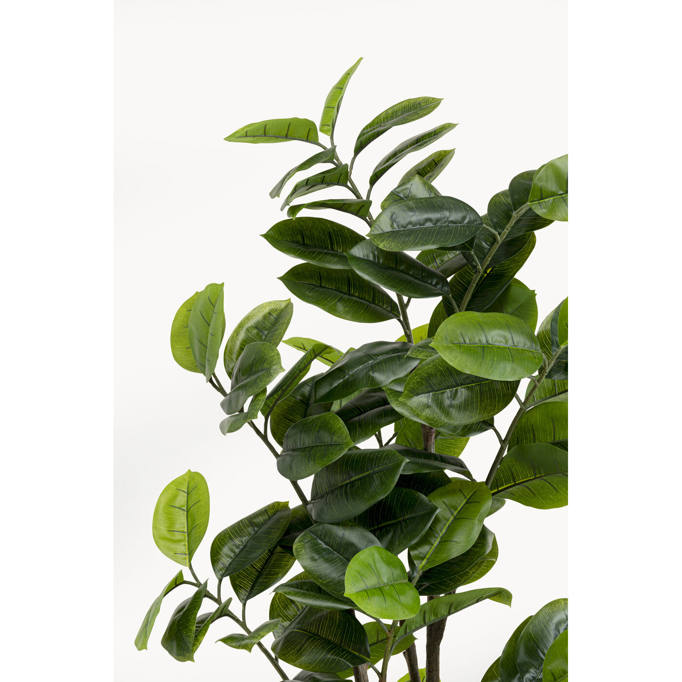 Растение декоративное Balata Tree 162cm KARE 58351