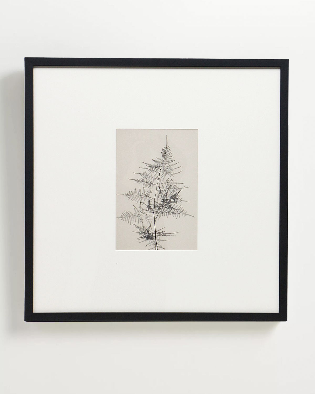 Интерьерный постер Floral - IV Louvre Home DPP250924VHS