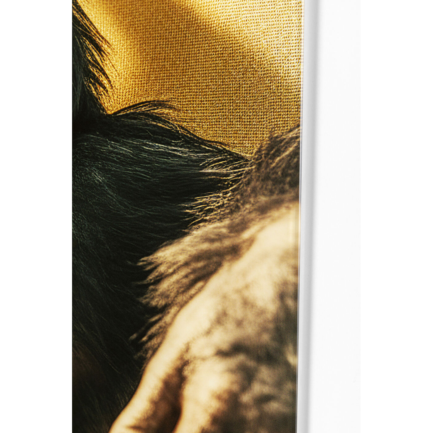 Картина стеклянная Holiday Monkey 80x60 см KARE 56272