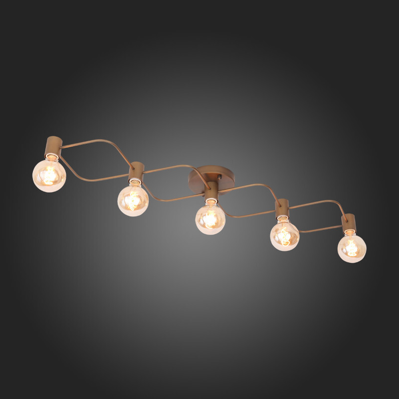 Накладная люстра ST Luce SL413.212.05