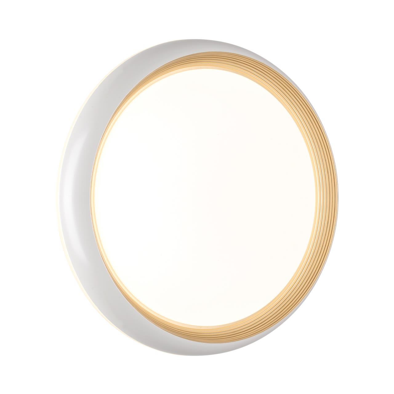 Настенно-потолочный светильник Sonex 7650/DL