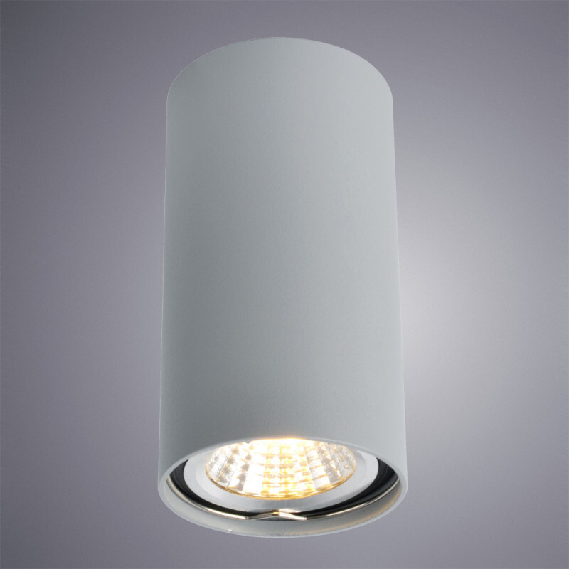 Накладной светильник Arte Lamp A1516PL-1GY