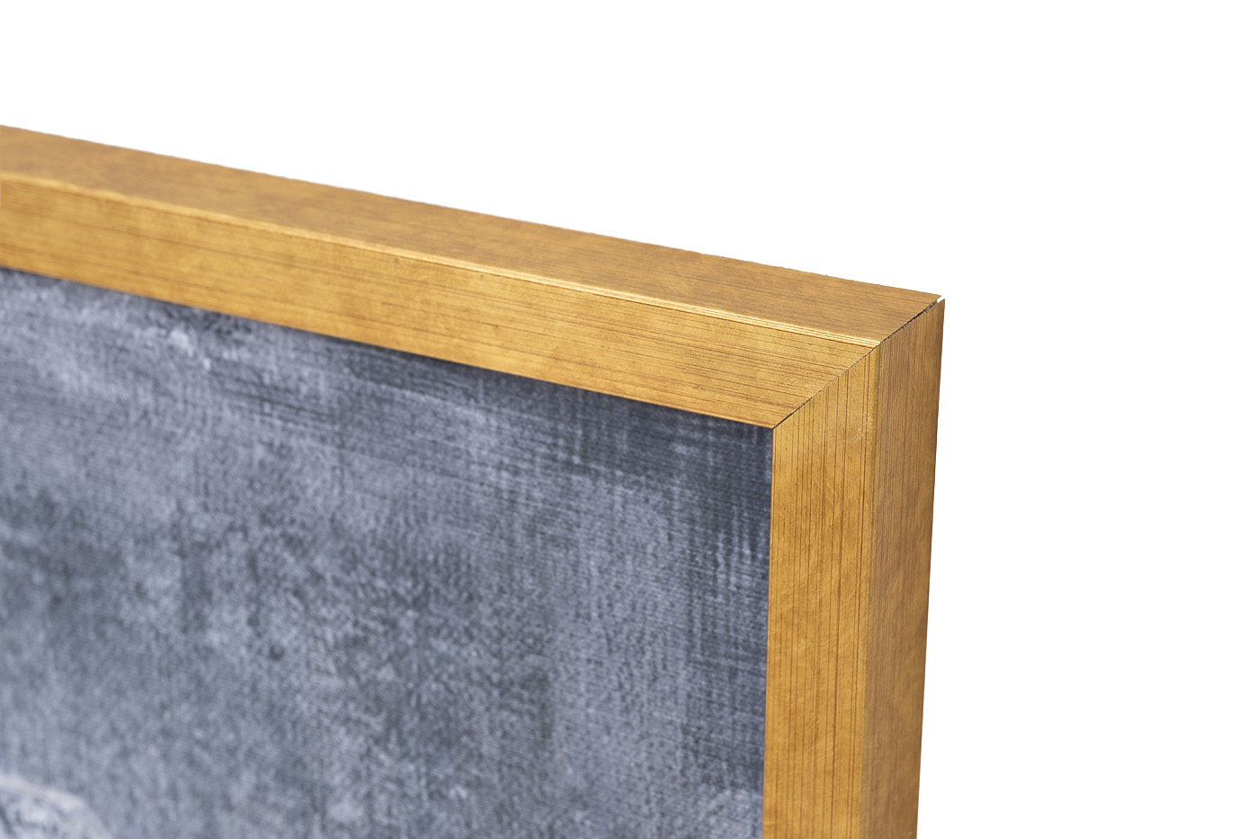 Холст Африка лошадь в золотом багете Garda Decor 89VOR-AFRICA HORSE