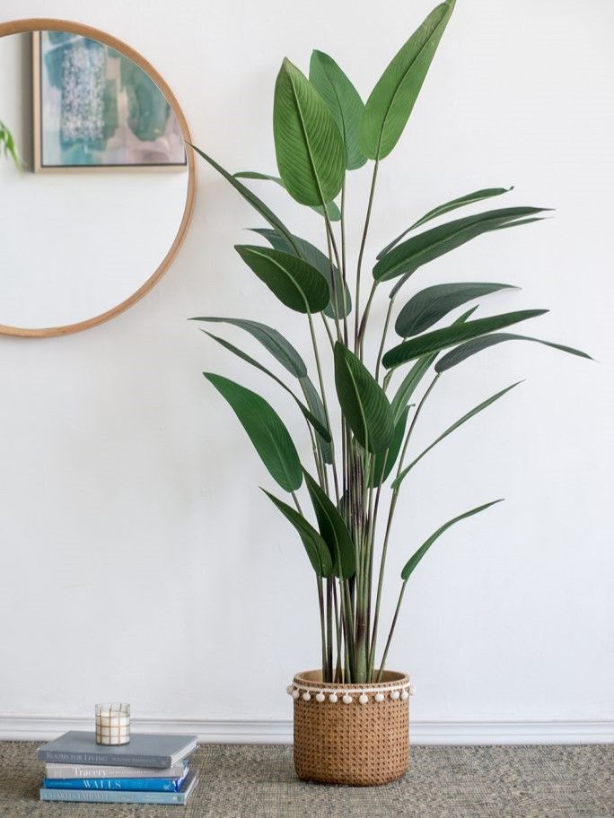 Растение декоративное Glasar SA11849-AB