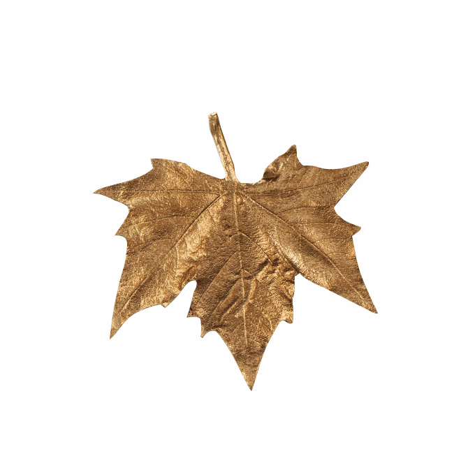 Люстра Serip CT 3397/25 FO/10