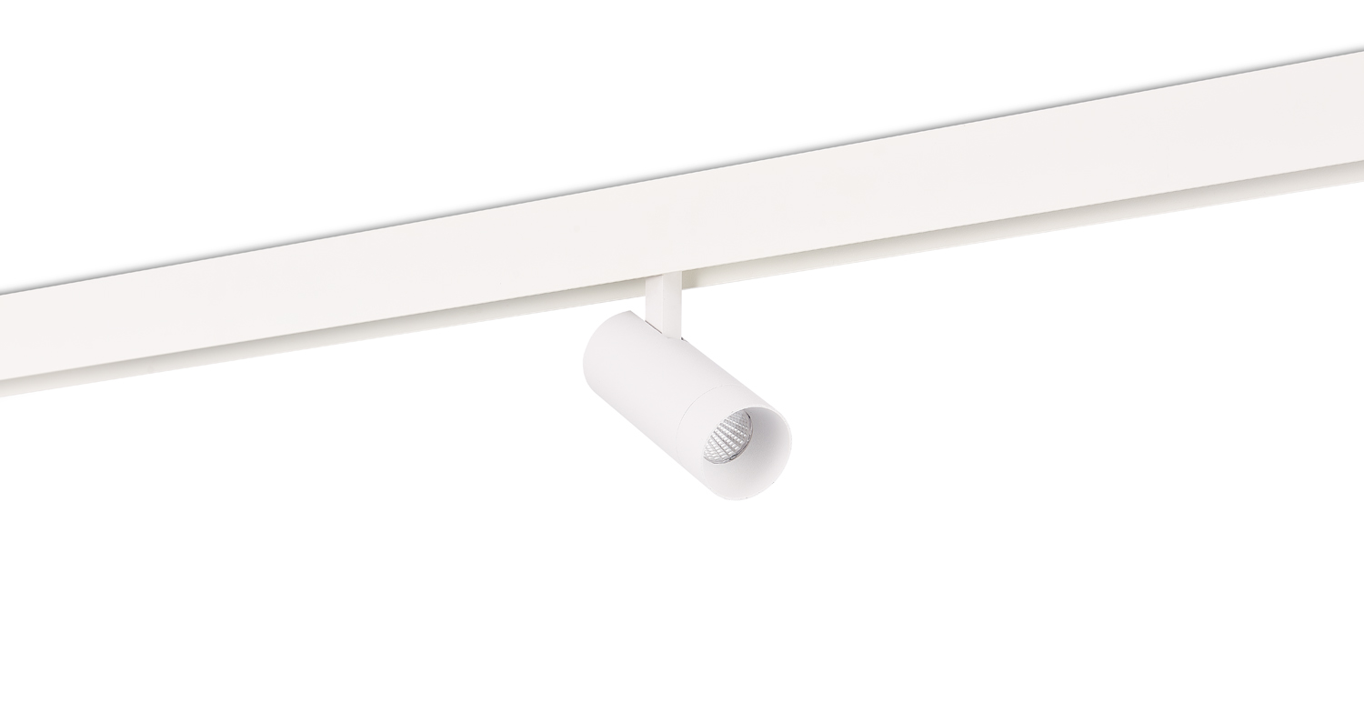 Светодиодный светильник Donolux DL20295TW10WTuya