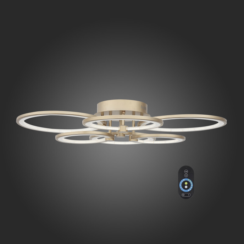 Накладной светильник ST Luce SL867.202.06