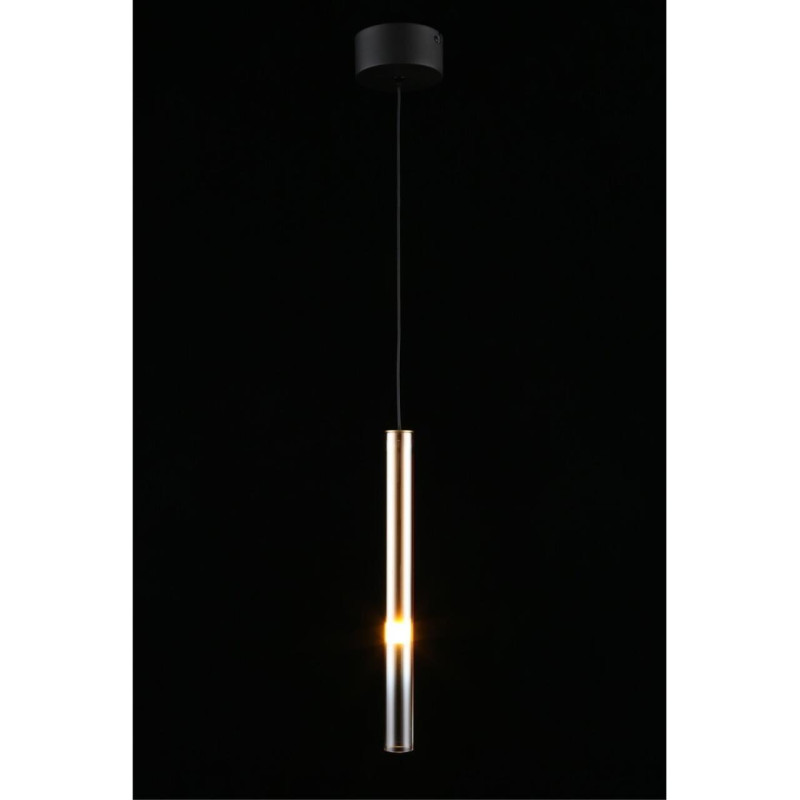 Подвесной светильник APLOYT APL.059.06.04