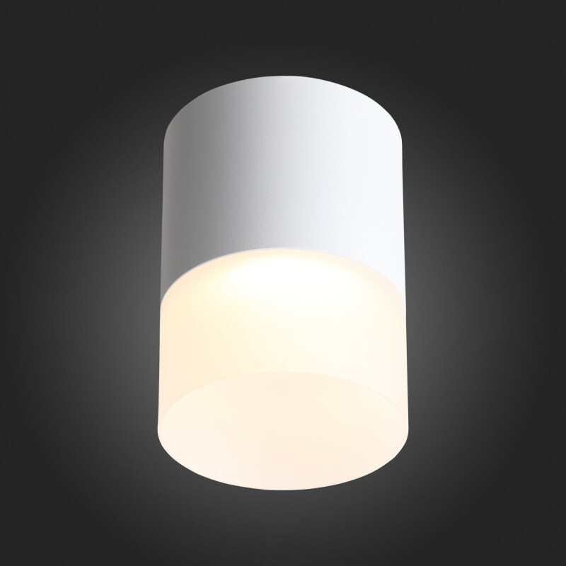 Накладной светильник ST Luce ST100.542.15