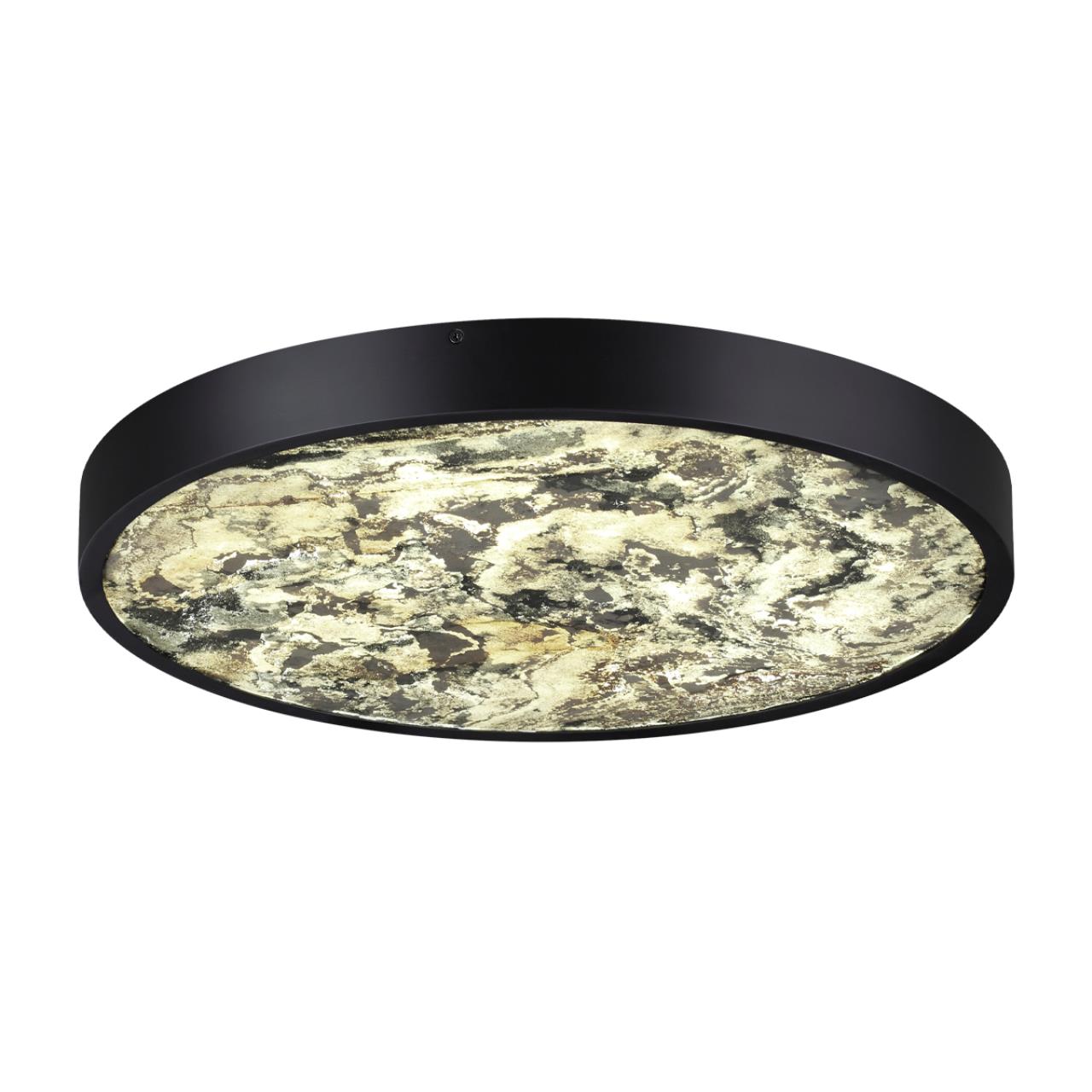 Настенно-потолочный светильник Odeon Light 5064/40L