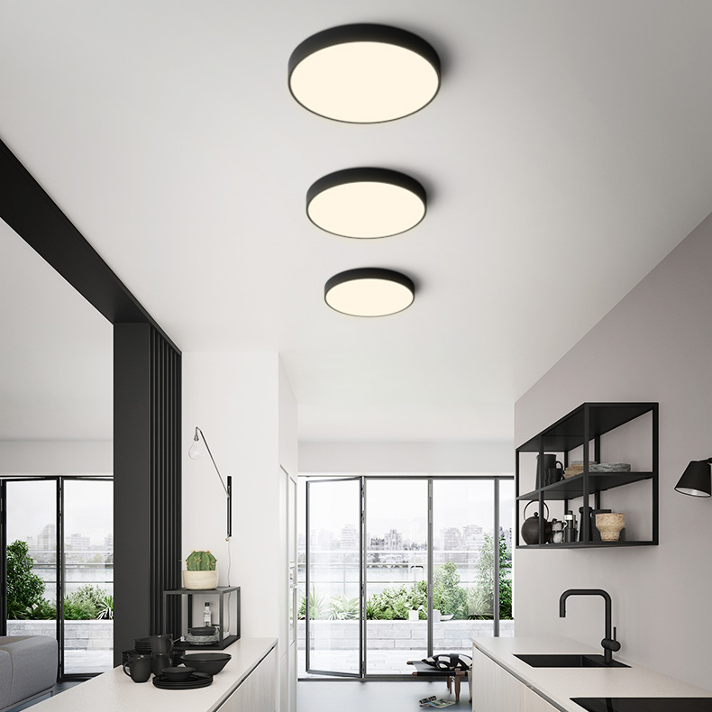 Потолочный светильник DISC BW D60 Black by ImperiumLoft