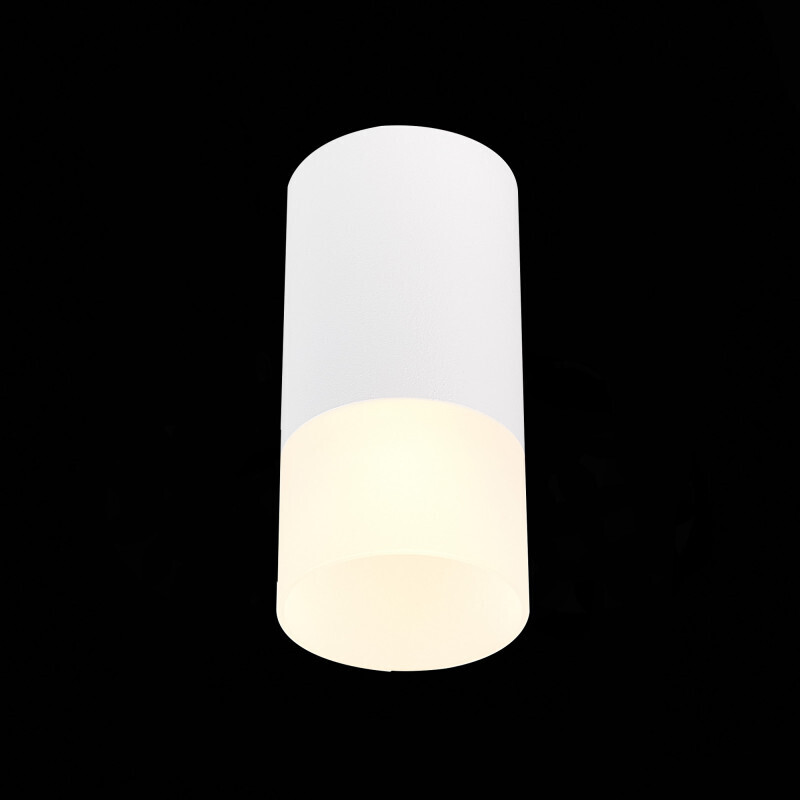 Накладной светильник ST-Luce ST100.512.01